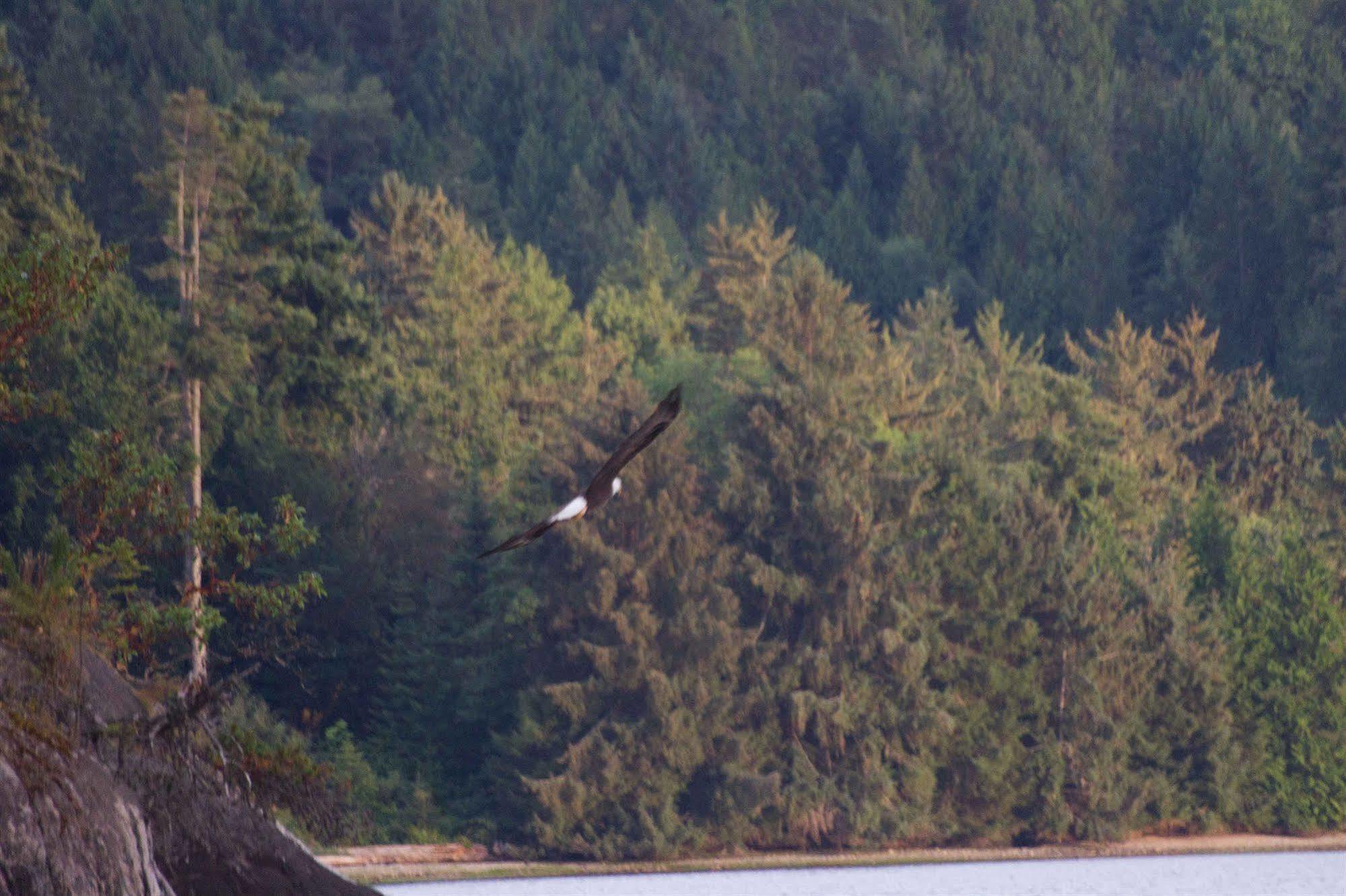 Tranquility Bay Waterfront Inn Sechelt Εξωτερικό φωτογραφία